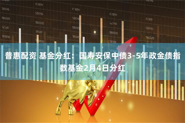 普惠配资 基金分红：国寿安保中债3-5年政金债指数基金2月4日分红